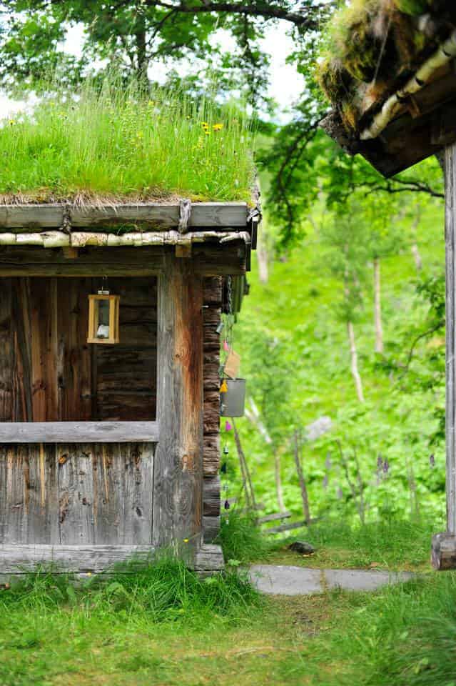 Liten laftet hytte med torvtak, omgitt av grønt gress og trær.