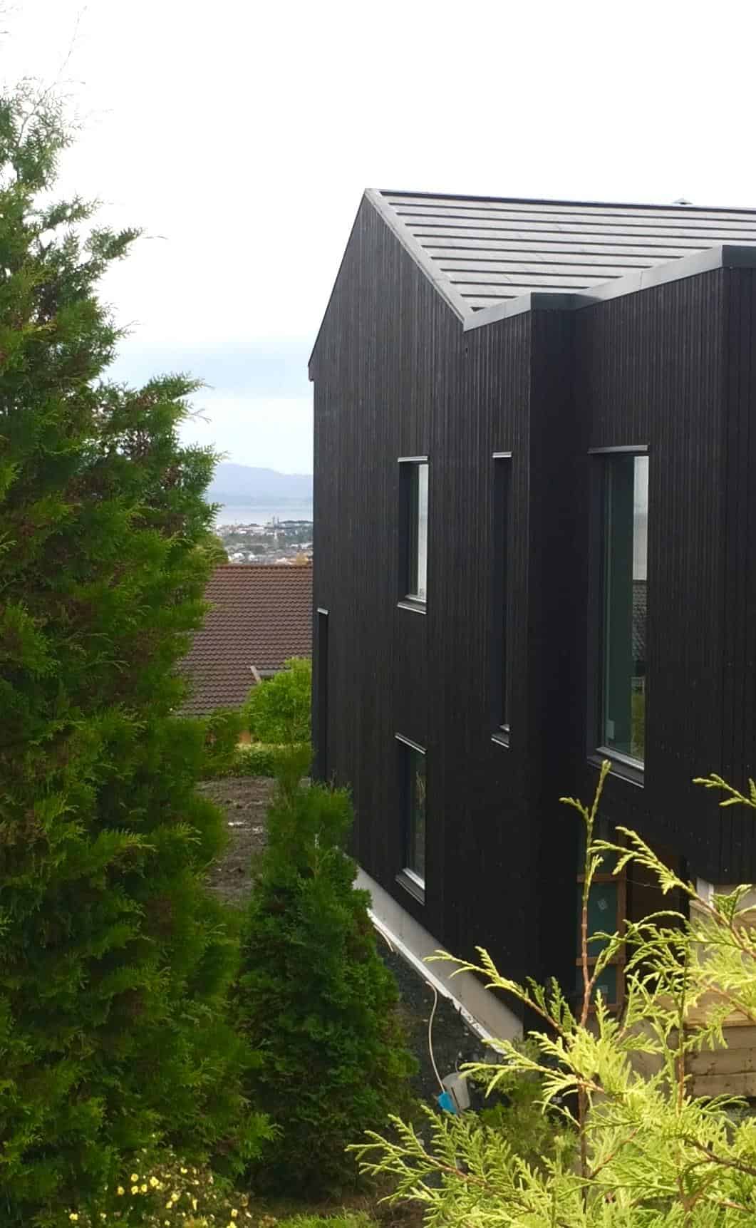 Moderne enebolig med mørk trekledning og skrått tak, omgitt av grønt landskap.